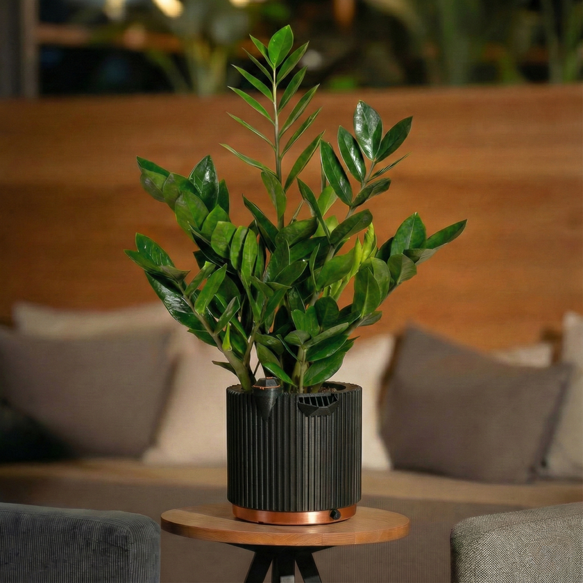 Unipot - Signature Black