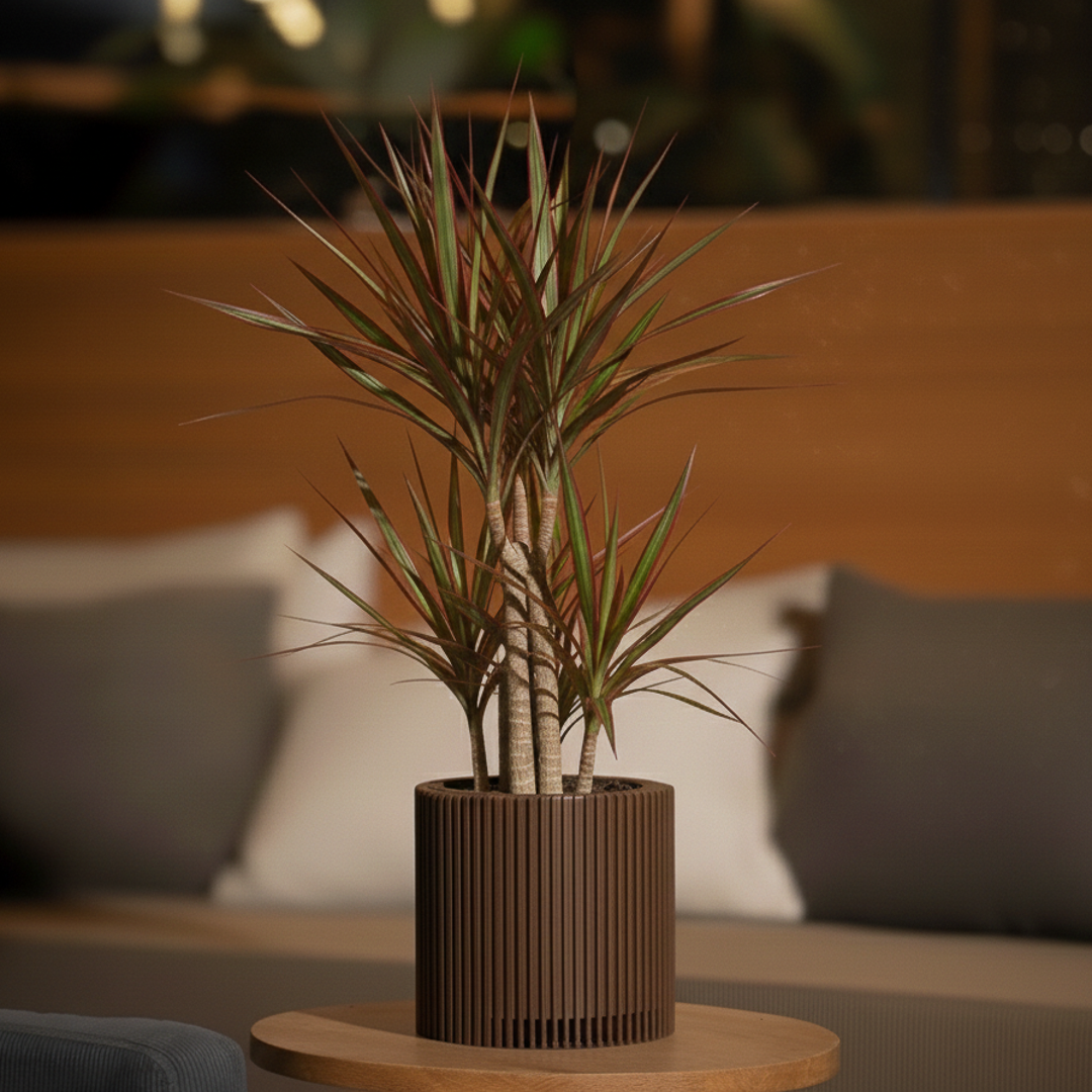 Unipot - Essential Wood