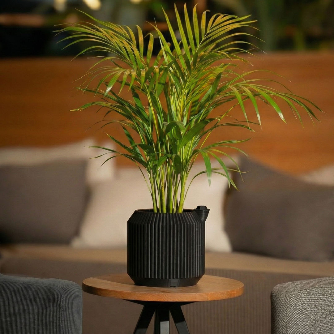 Unipot - Essential Black