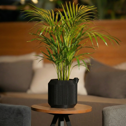 Unipot - Essential Black