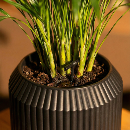 Unipot - Essential Black